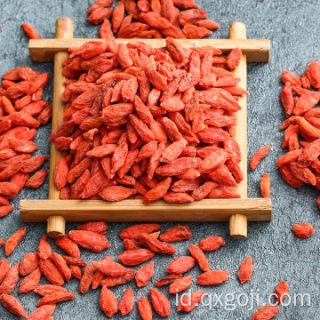 Lycium organik wolfberry goji berry untuk kesehatan